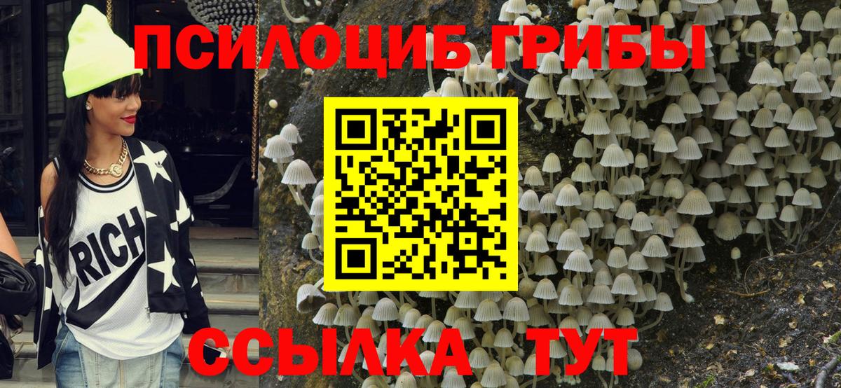Псилоцибиновые грибы Psilocybe  Галлюциногенные грибы MAGIC MUSHROOMS  Новочеркасск  Вход с VPN 